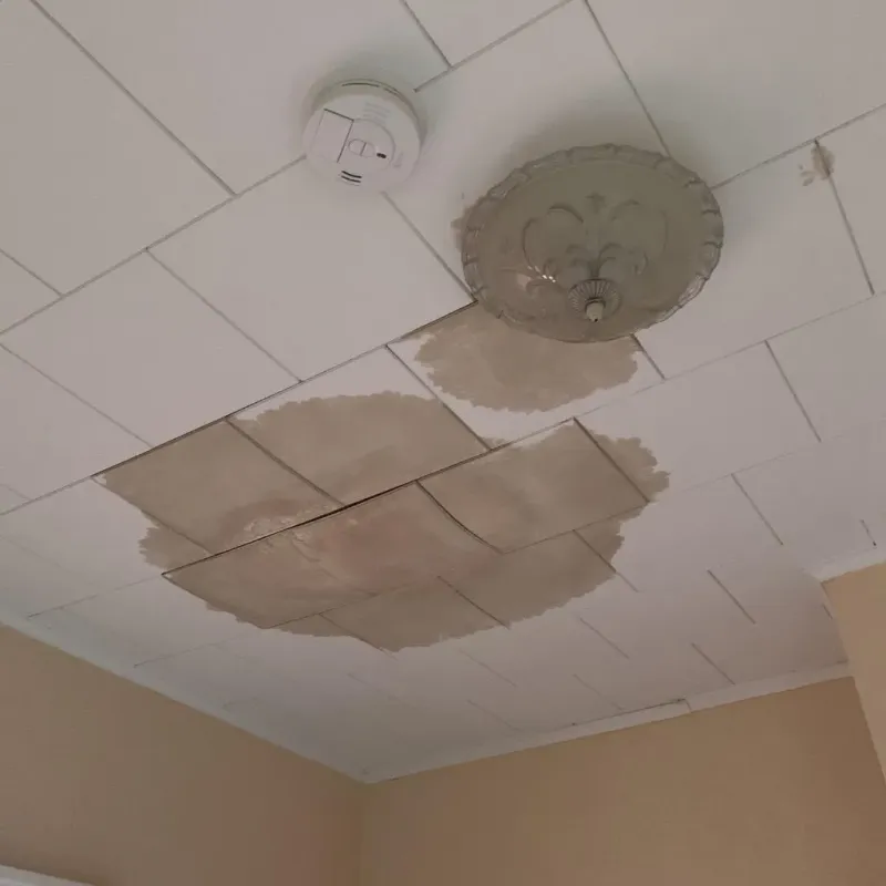Ceiling Water Damage Repair in Kiantone, NY