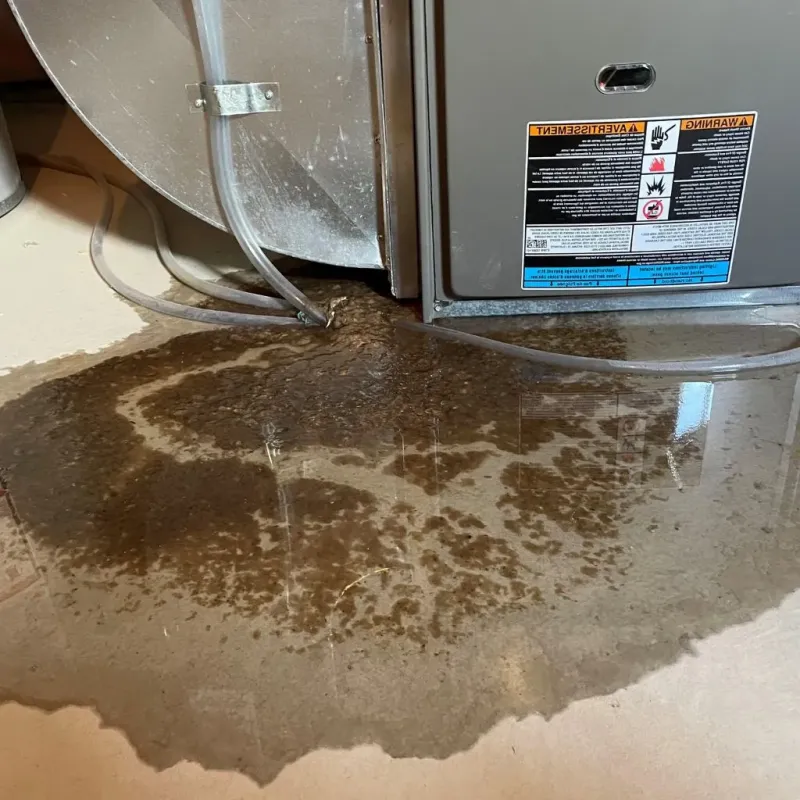 Pipe Burst and Leak Restoration in Kiantone, NY